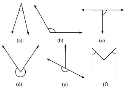 Understanding elementary NCERT Questions – Practically Study Material