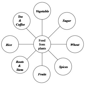 Food balance sheets. Supply and consumption of major food groups in