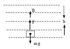 case study of work power and energy class 11