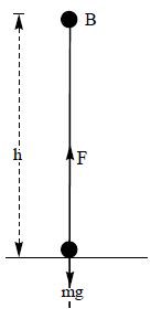 case study of work power and energy class 11