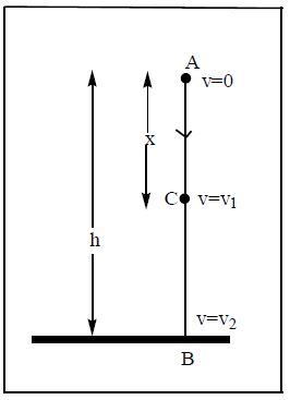 case study of work power and energy class 11