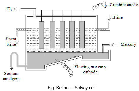 The S Block Elements - Practically Study Material