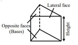 Visualising Solid Shapes - Practically Study Material