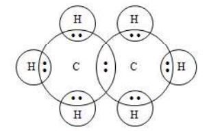 Carbon and Its Compounds - Practically Study Material