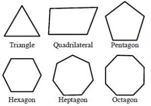 Understanding Elementary Shapes - Practically Study Material